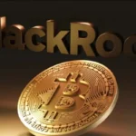 BlackRock labels BTC as ‘Progress’ in Bitcoin ETF ad