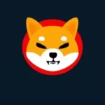 Shiba Inu Adopts Tech to Boosts Privacy for SHIB Token Holders