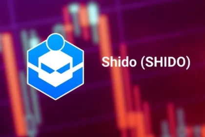 Shido Token Plummets 94% as Hacker Drains Ethereum Staking Contract