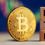 Top 4 Bitcoin ETFs Are Approved by RIA Carson Group for Growth