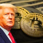 Bitcoin Needs Regulation Since It's Taken on "a Life of Its Own": Trump