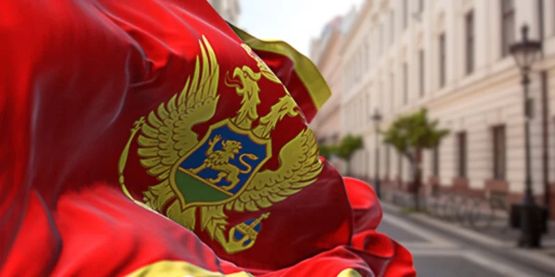 Montenegro Stands Against Do Kwon's Extradition Appeal