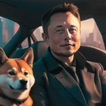 Tesla to Enable DOGE Payments, Elon Musk Shows Support