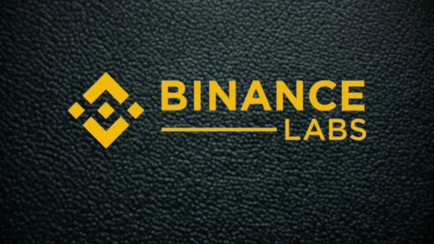 Binance Labs Leads Crypto Launchpad Investment Report