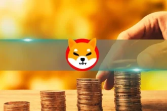 Shiba Inu Secures $12 Million Round from Animoca Brands and Others